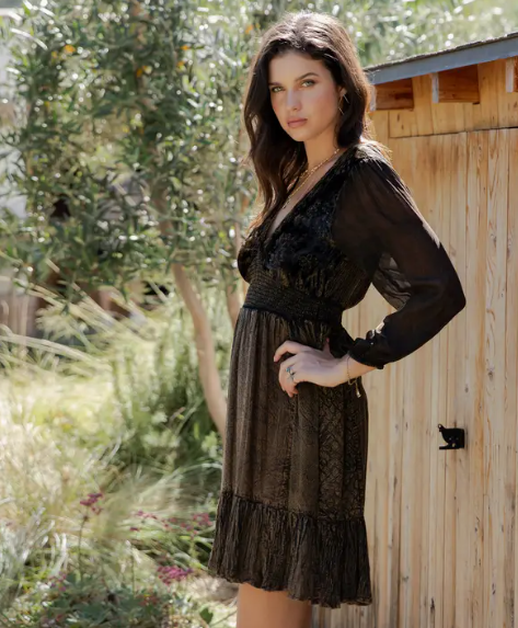 Velvet Eclipse Dress