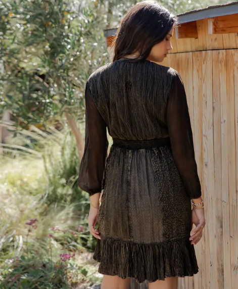 Velvet Eclipse Dress