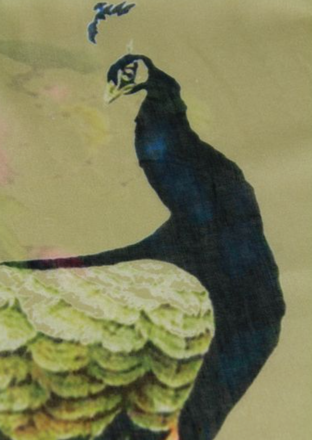 Peacock Scarf