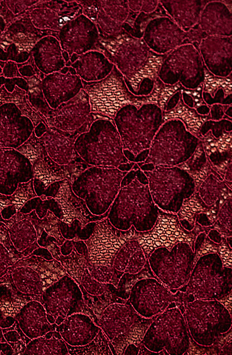 Love Spell Lace Top