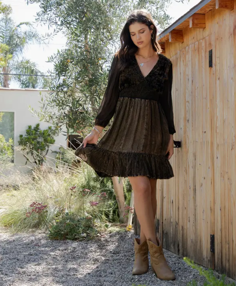 Velvet Eclipse Dress