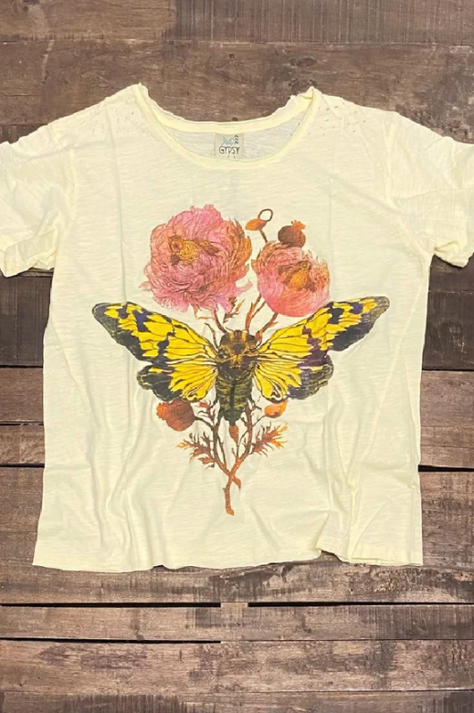 Flutter By Tee