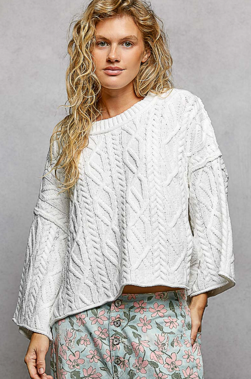 Capsule Knit Sweater *Final Sale*