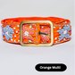 POL Embroidered Belts