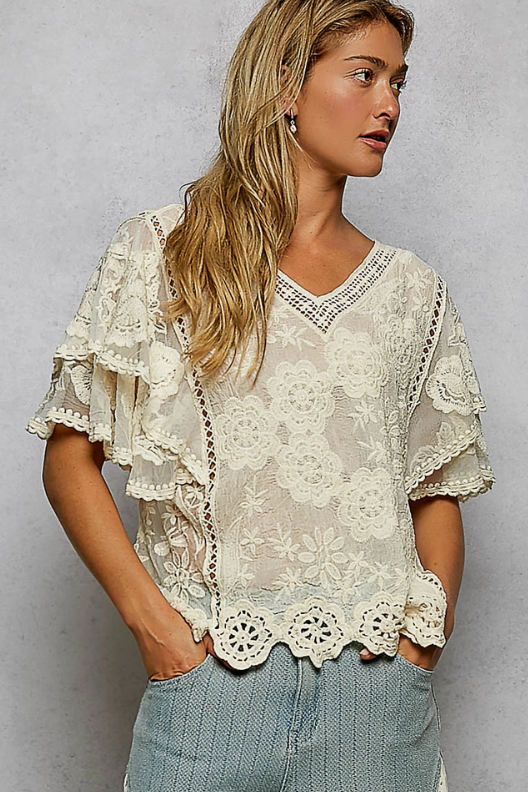 Flutter Around Embroidered Top