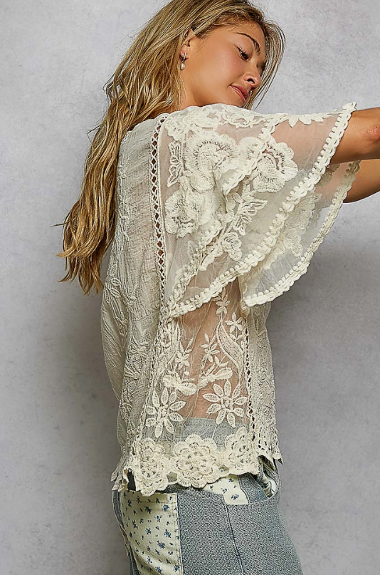 Flutter Around Embroidered Top