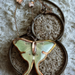 Luna Moth Necklace