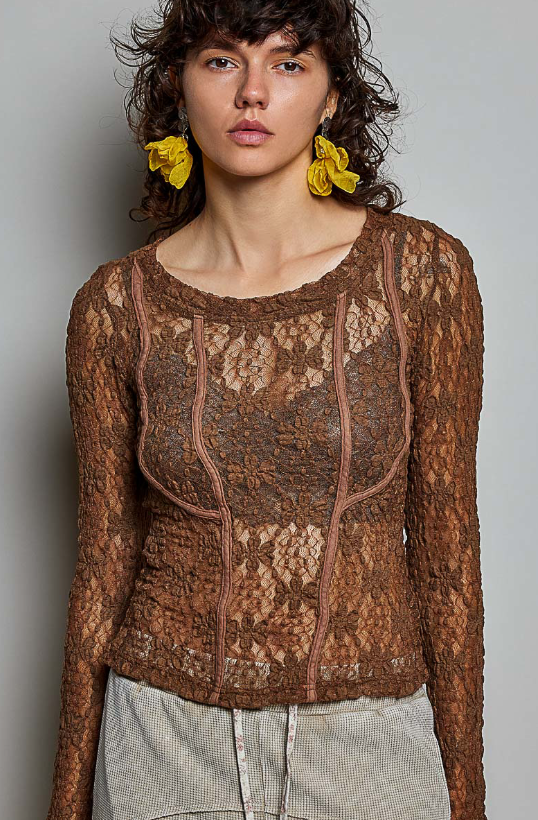 Sheer Romance Lace Top