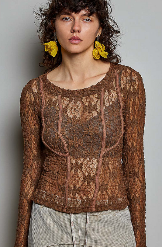 Sheer Romance Lace Top