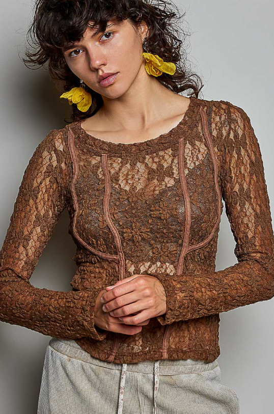 Sheer Romance Lace Top