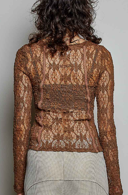 Sheer Romance Lace Top