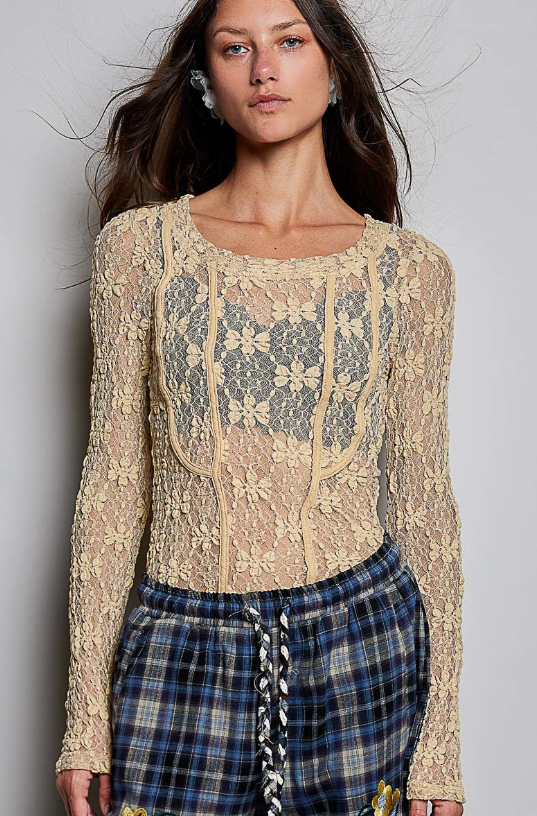Sheer Romance Lace Top