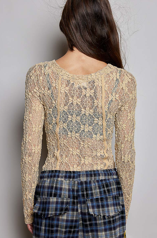 Sheer Romance Lace Top